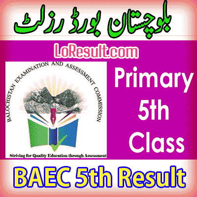 BAEC 5th class result 2024