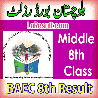 BAEC 8th class result 2024