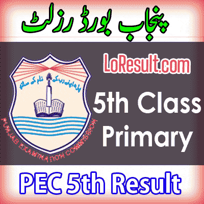 PEC Punjab Board Primary result 2025