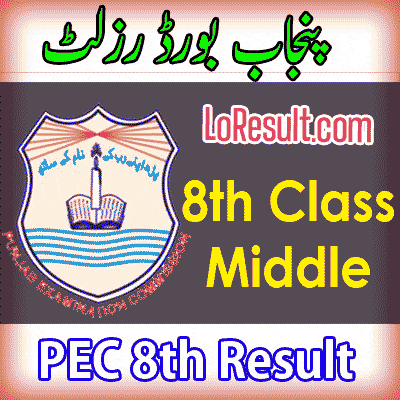 PEC Punjab boards 8th class result 2024
