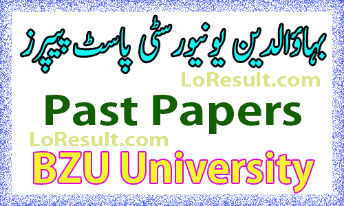 BZU Past Papers 2024