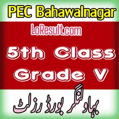 Bahawalnagar Board class 5 result 2024