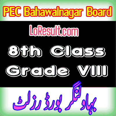 Bahawalnagar Board class 8 result 2024