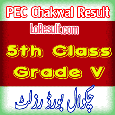 Chakwal Board class 5 result 2024