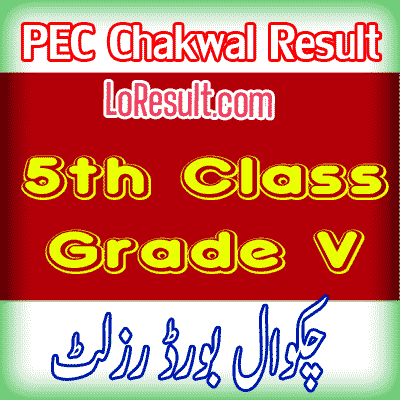 Chakwal Board class 5 result 2025