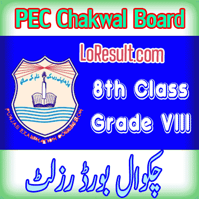 Chakwal Board class 8 result 2024