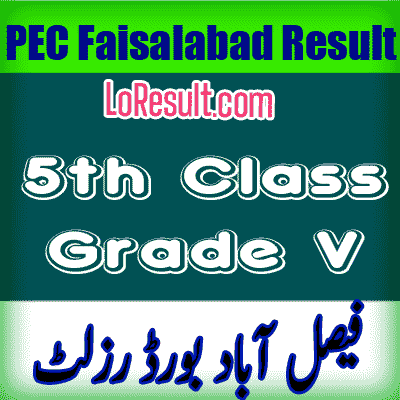 Faisalabad Board class 5 result 2025