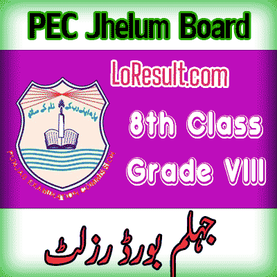 Jhelum Board class 8 result 2025