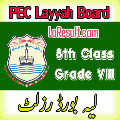 Layyah Board class 8 result 2024