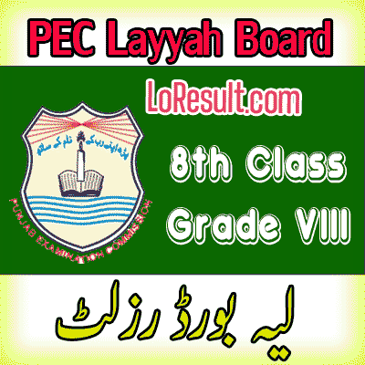 Layyah Board class 8 result 2025