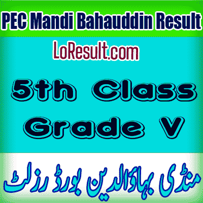 Mandi Bahauddin Board class 5 result 2025
