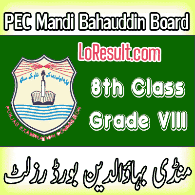 Mandi Bahauddin Board class 8 result 2024
