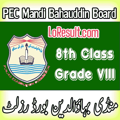 Mandi Bahauddin Board class 8 result 2025