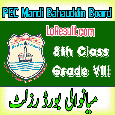 Mianwali Board class 8 result 2024