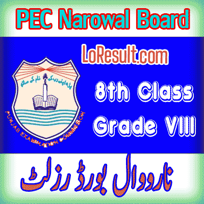 Narowal Board class 8 result 2024