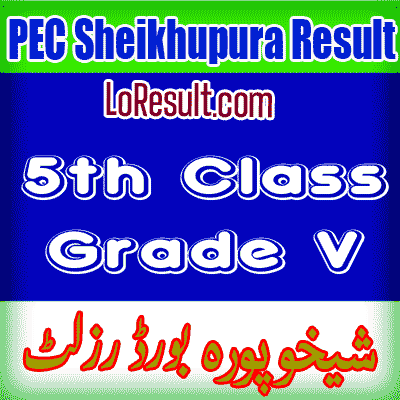 Sheikhupura Board class 5 result 2024