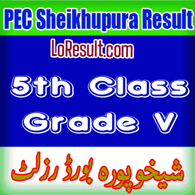Sheikhupura Board class 5 result 2025