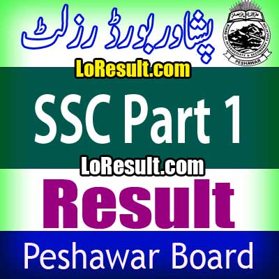 Peshawar Board SSC Part 1 result 2024