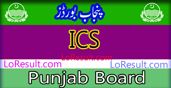 Punjab Board ICS result 2024