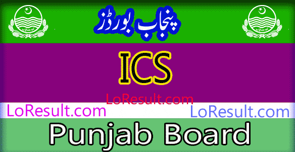 Punjab Board ICS result 2025
