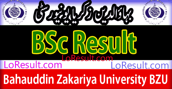 BSc Part 1 and 2 result 2024 BZU