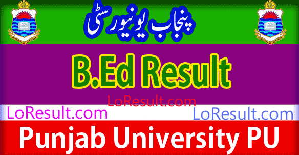 B.Ed Part 1 and 2 result 2024 PU