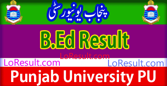 B.Ed Part 1 and 2 result 2025 PU