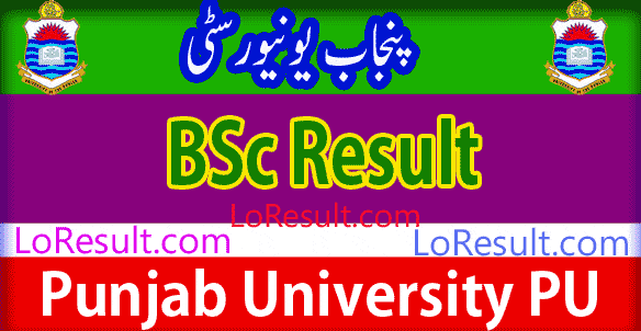 BSc Part 1 and 2 result 2024 PU