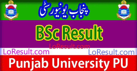BSc Part 1 and 2 result 2025 PU