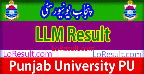LLM Part 1 and 2 result 2025 PU