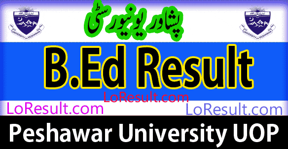 B.Ed Part 1 and 2 result 2025 UOP