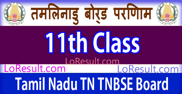 TNBSE Board 11th Class Results 2024