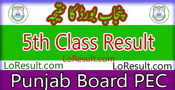 Punjab Board 5th Class result 2024