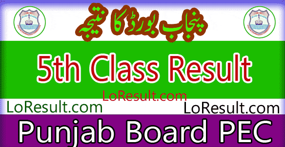 Punjab Board 5th Class result 2025