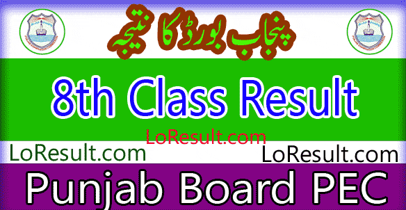 Punjab Board 8th Class result 2025