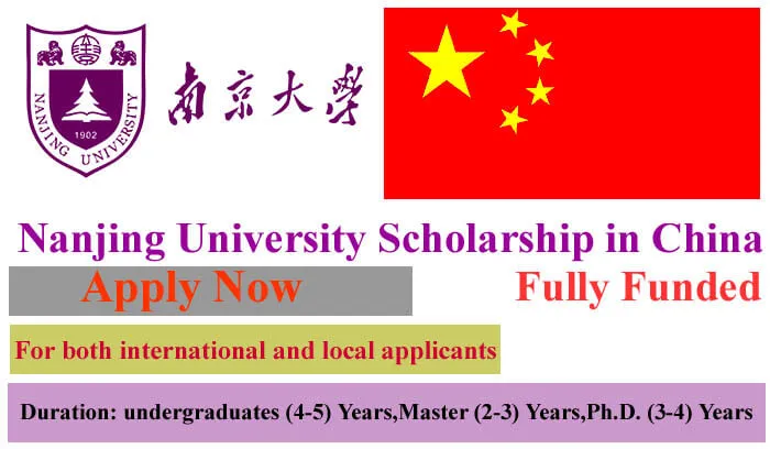 Nanjing Scholarship 2023