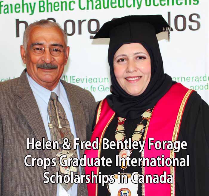 Helen & Fred Bentley Forage Crops Graduate International Scholarships in Canada